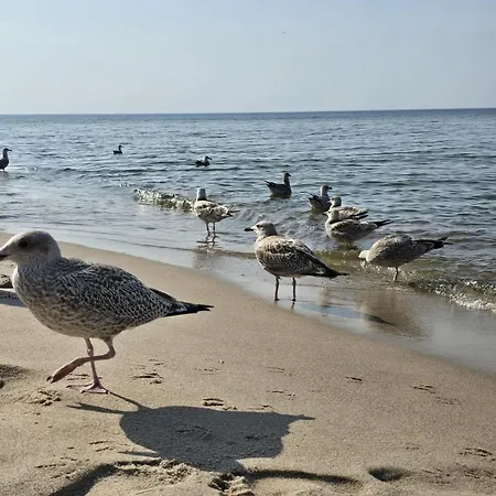 Hébergement de vacances 365pam - Urocze Letniskowe Blisko Morza Bobolin