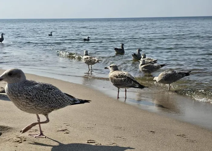 Prázdninový dům 365pam - Urocze Letniskowe Blisko Morza Bobolin